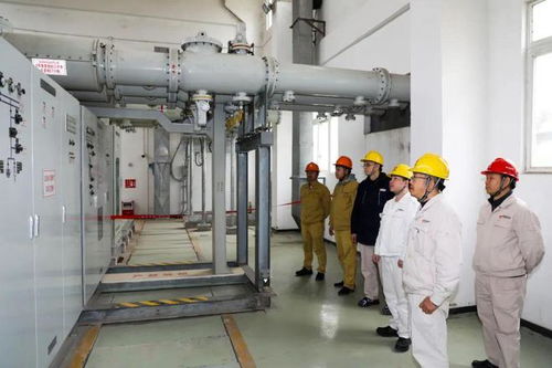 保障能源安全 國能肇慶電廠二期工程廠用電受電一次成功，手機軟件設計助力智慧電廠